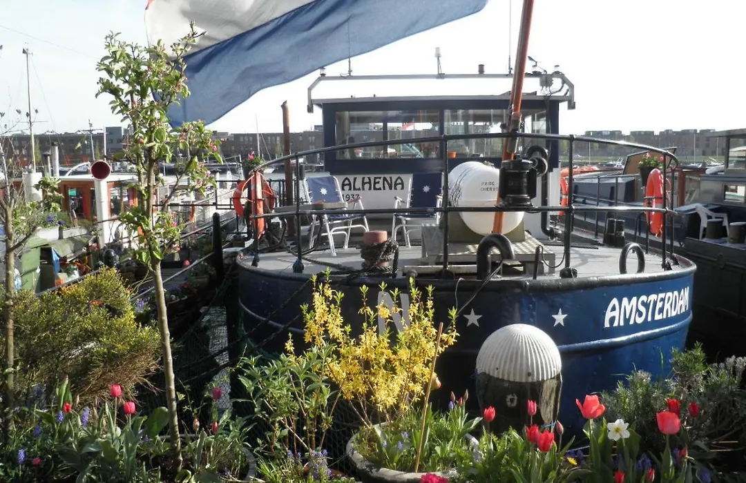 Boat & Breakfast Alhena-1
